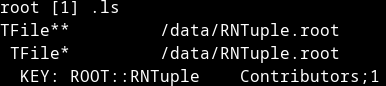 Listing of an RNTuple in a ROOT file